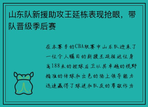 山东队新援助攻王延栋表现抢眼，带队晋级季后赛